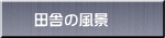 田舎の風景